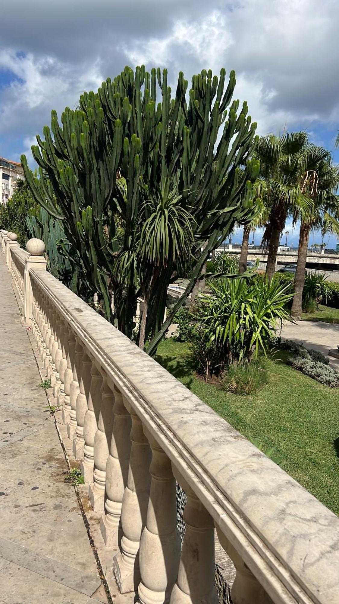شقة Les Terrasses De Malabata طنجة المظهر الخارجي الصورة